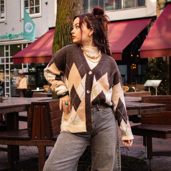 Vest_met_bruine_ruit_1