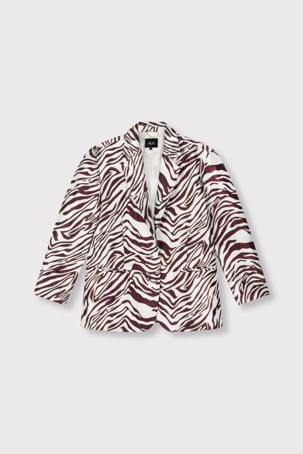 Zebra_jacq_blazer_bordeaux_5