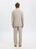 Malik_sun_pinstripe_colbert__1