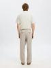 Malik_sun_pinstripe_pantalon_1