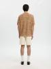 Muse_structure_polo_multi_3