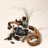 Van_De_Zotte_Wad_50ML_