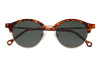 Viento_tortoise_dark_green