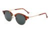 Viento_tortoise_dark_green_1
